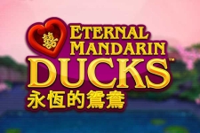 Eternal Manderin Ducks