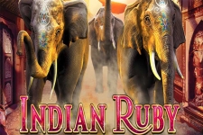 Indian Ruby